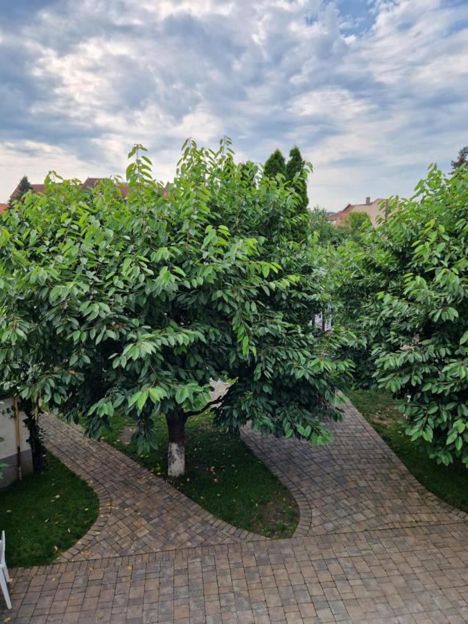 Hotel Atlantic Boutique Târgu-Mureş Esterno foto