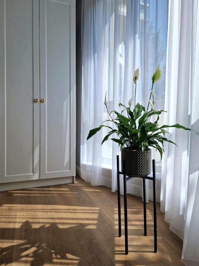 Hotel Atlantic Boutique Târgu-Mureş Esterno foto