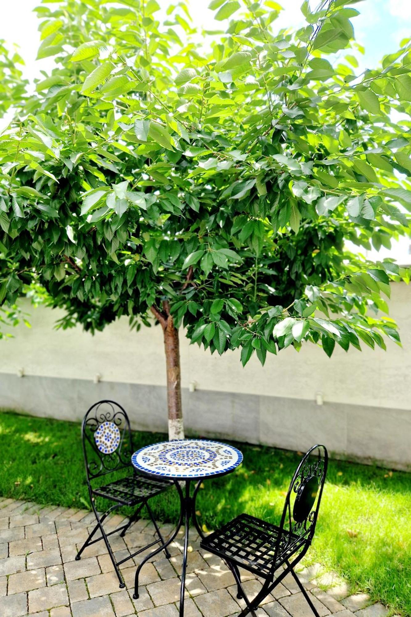 Hotel Atlantic Boutique Târgu-Mureş Esterno foto